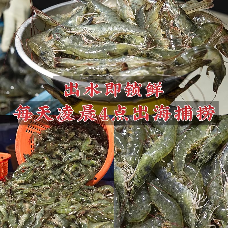 淘宝秒杀：【已验货】青岛大个海捕大虾3斤 福利价仅59元秒杀！