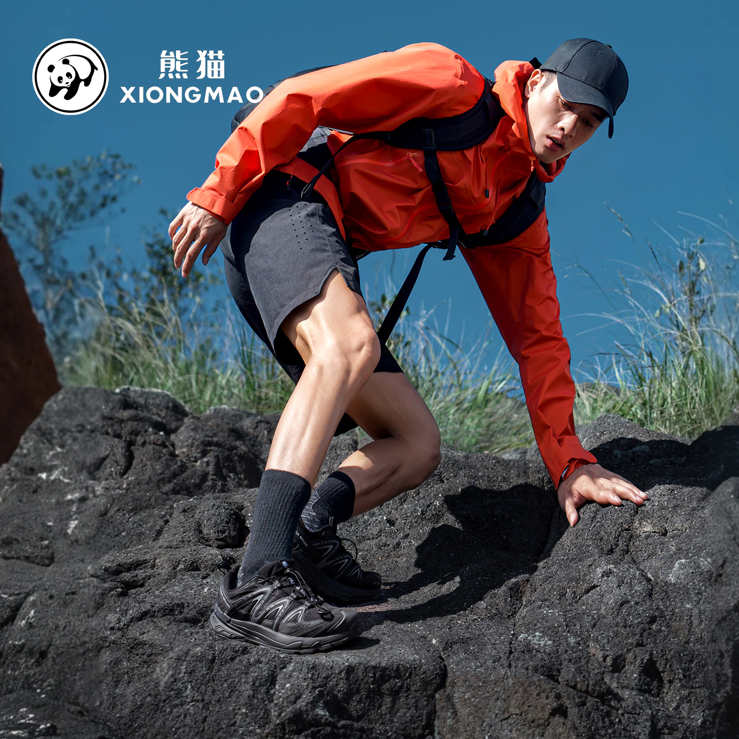 双11现货：【熊猫】透